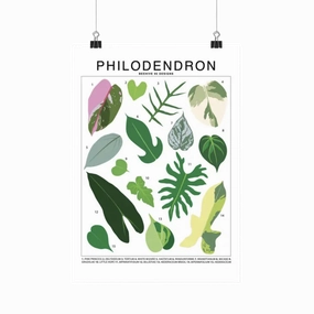 Philodendron Species Id Chart Botanical Houseplant Art Print framed wall decor