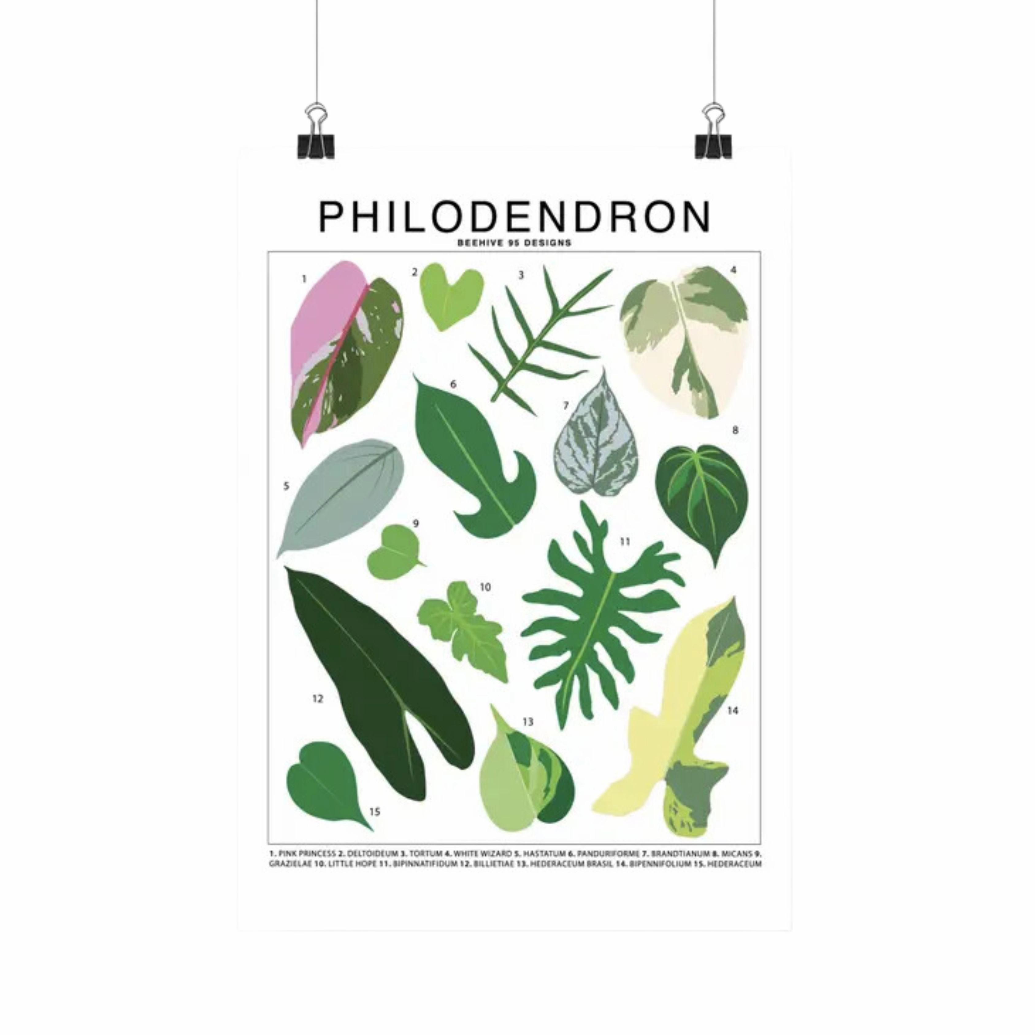 Philodendron Species Id Chart Botanical Houseplant Art Print framed wall decor