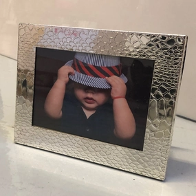 Picture Frame Snakeskin textured wall artwork
