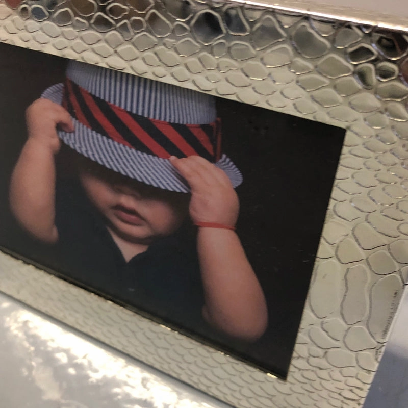 Picture Frame Snakeskin