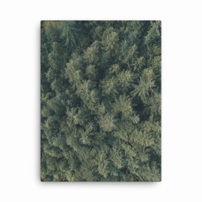 Pine Forest Pine Forest - canvas canvas mural art