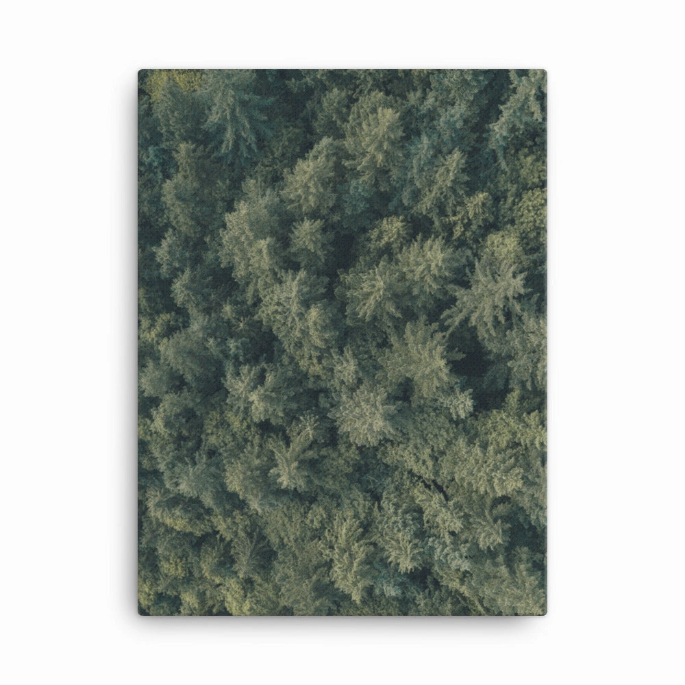Pine Forest Pine Forest - canvas canvas mural art