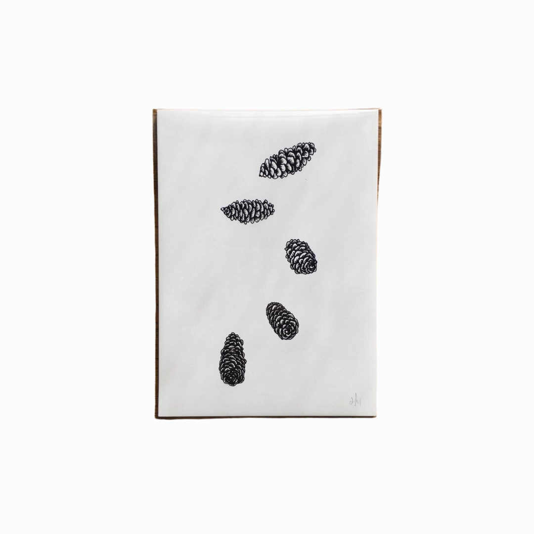 Pinecones 5" x 7" Art Print framed wall decor