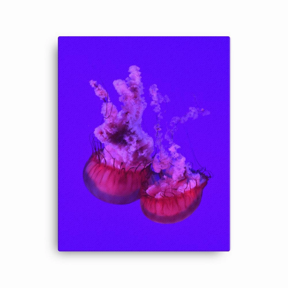 Pink Jellyfish - Canvas