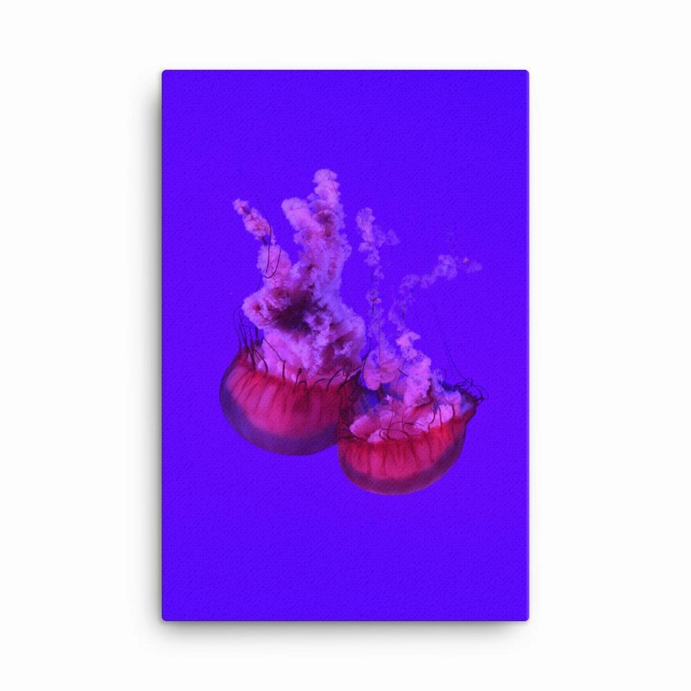 Pink Jellyfish - Canvas
