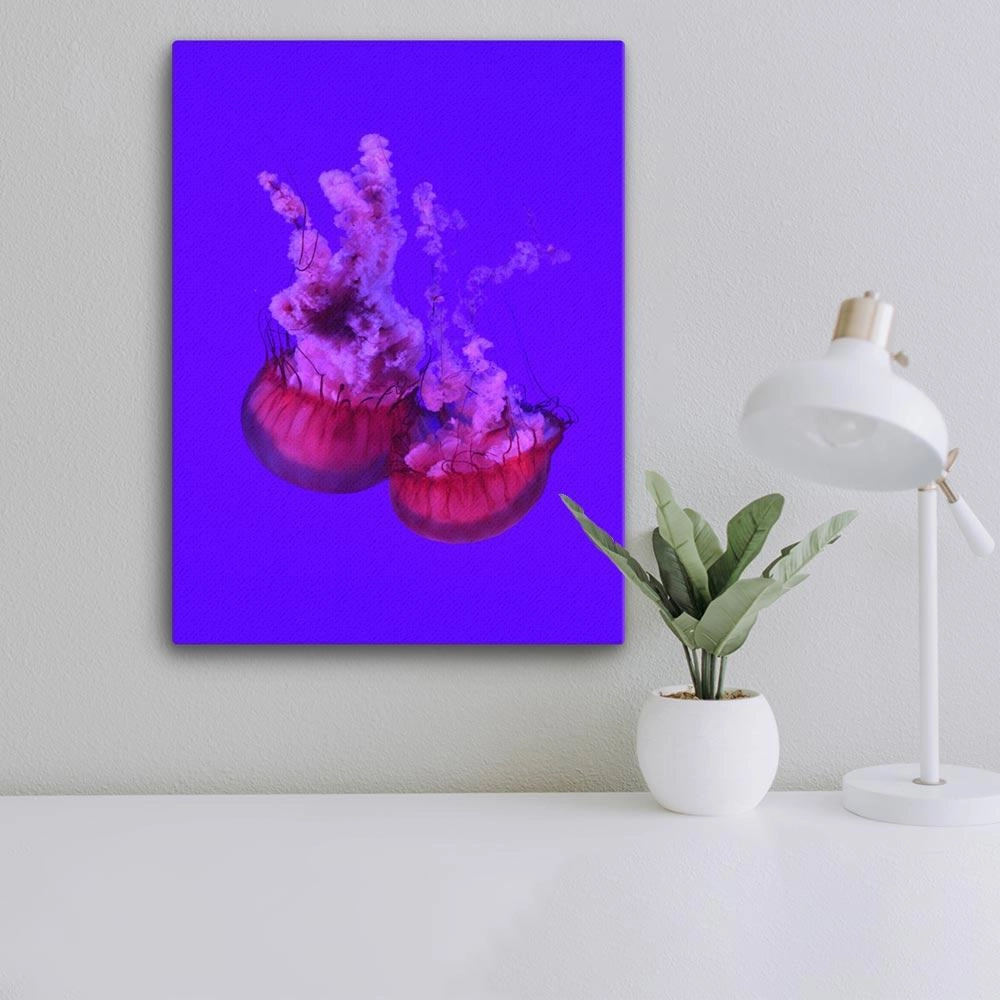 Pink Jellyfish - Canvas