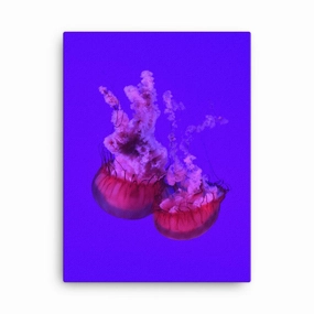 Pink Jellyfish - Canvas canvas mural art