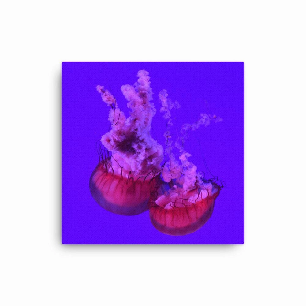 Pink Jellyfish - Canvas