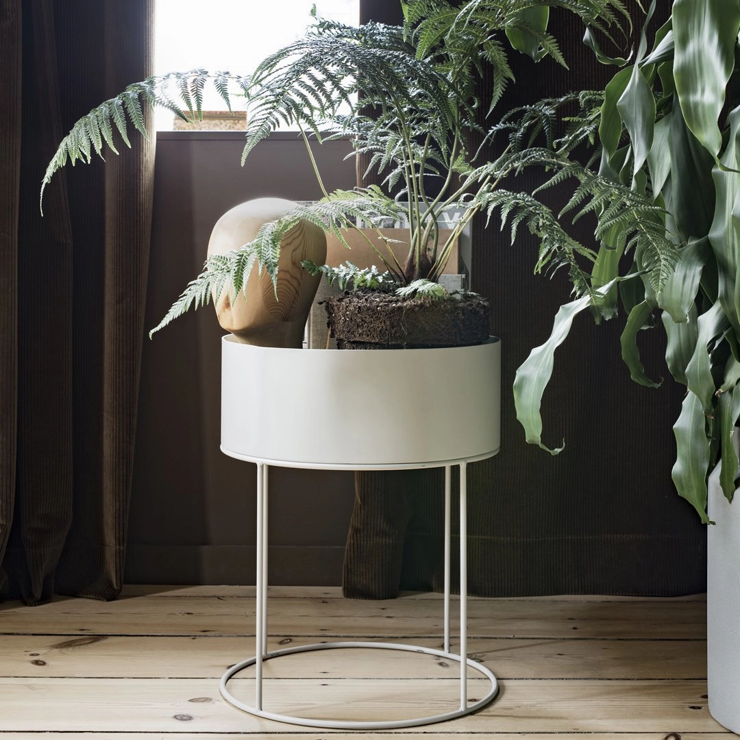 Plant Box - Round