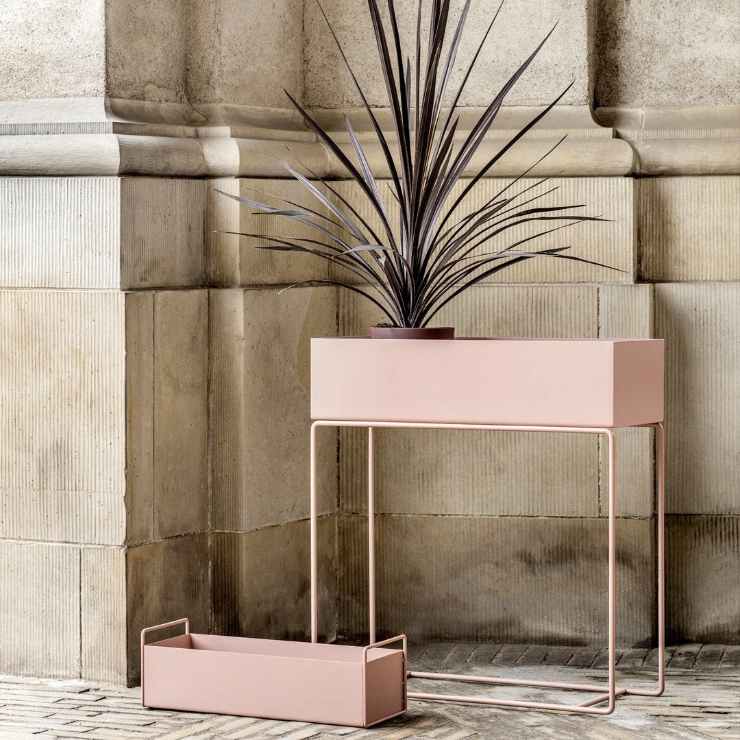 Plant Box - Small