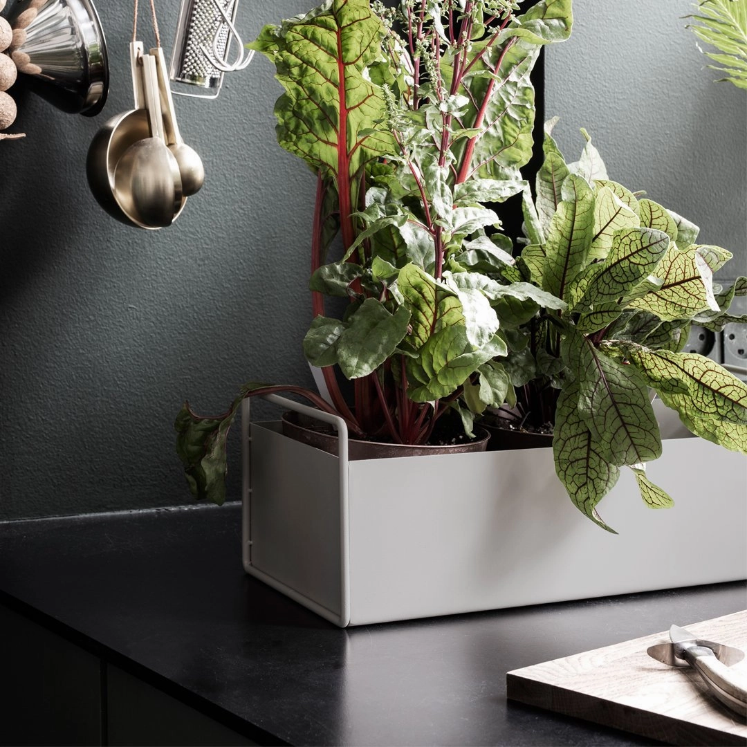 Plant Box - Small