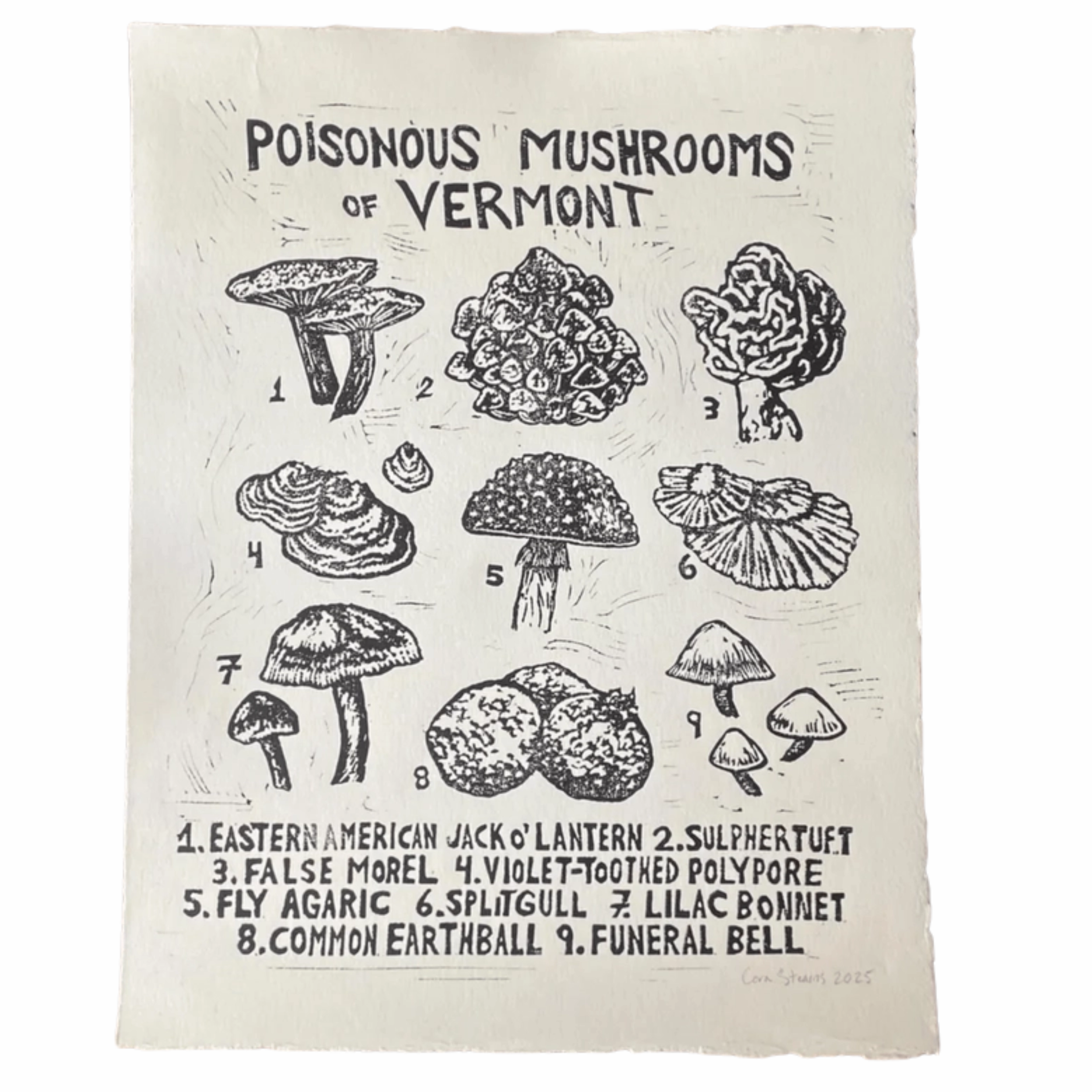Poisonous Mushrooms Of Vermont - Orignal Linocut Print framed wall decor