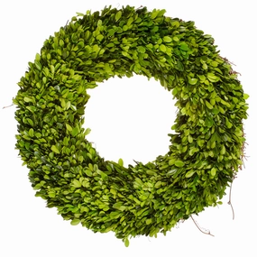 Preserved Boxwood Wreath 20" home display ornament