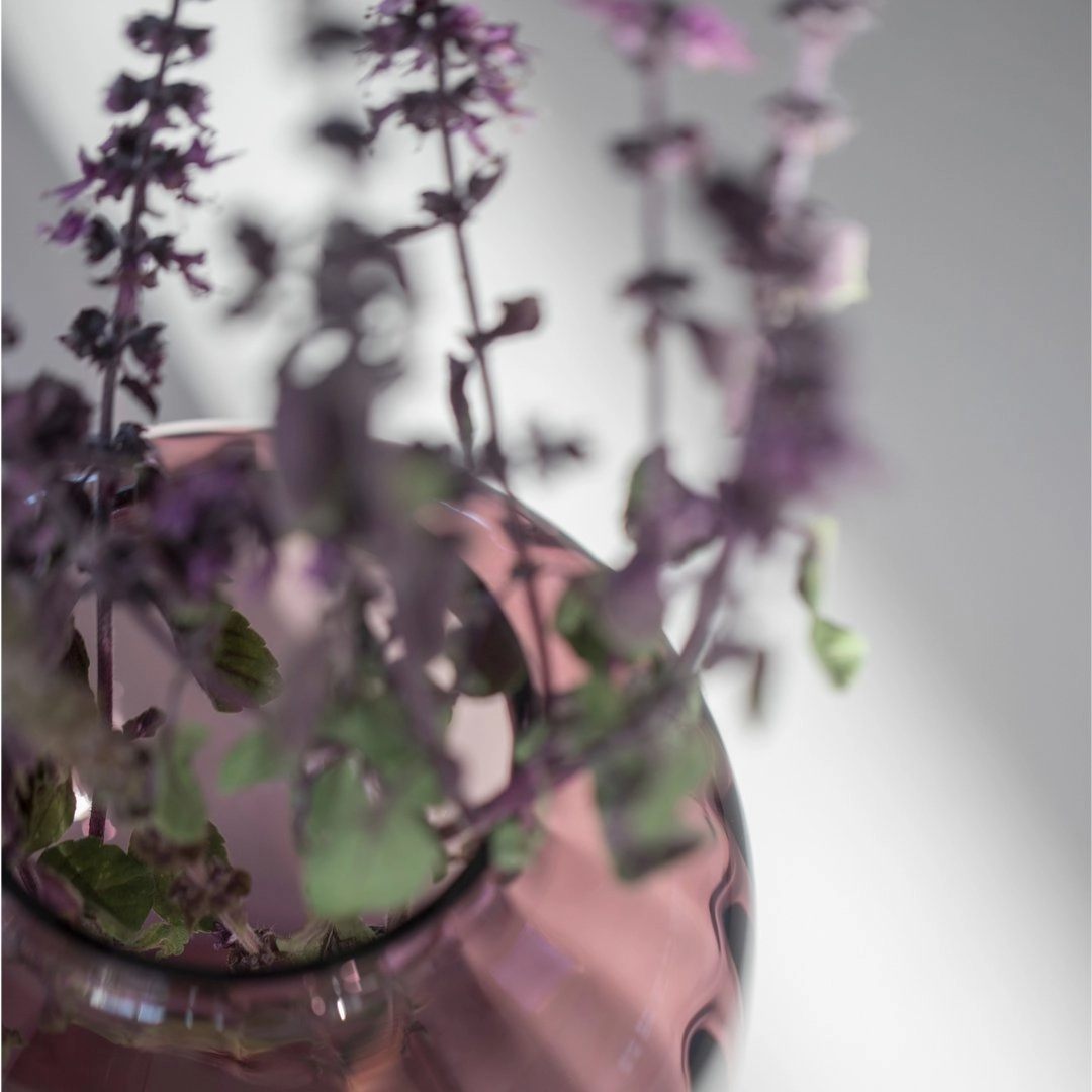 Primula Oval Vase