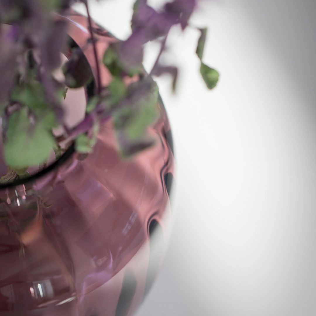 Primula Oval Vase
