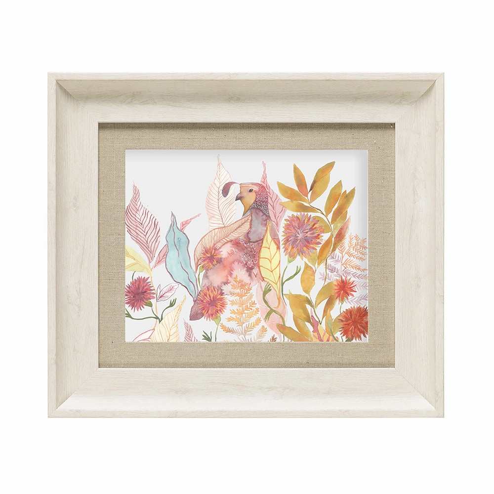 Quail Framed Print Birch