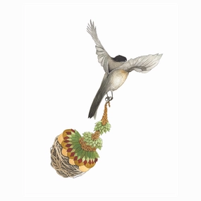 Quilted Bundles: Bird III - Art Print framed wall decor