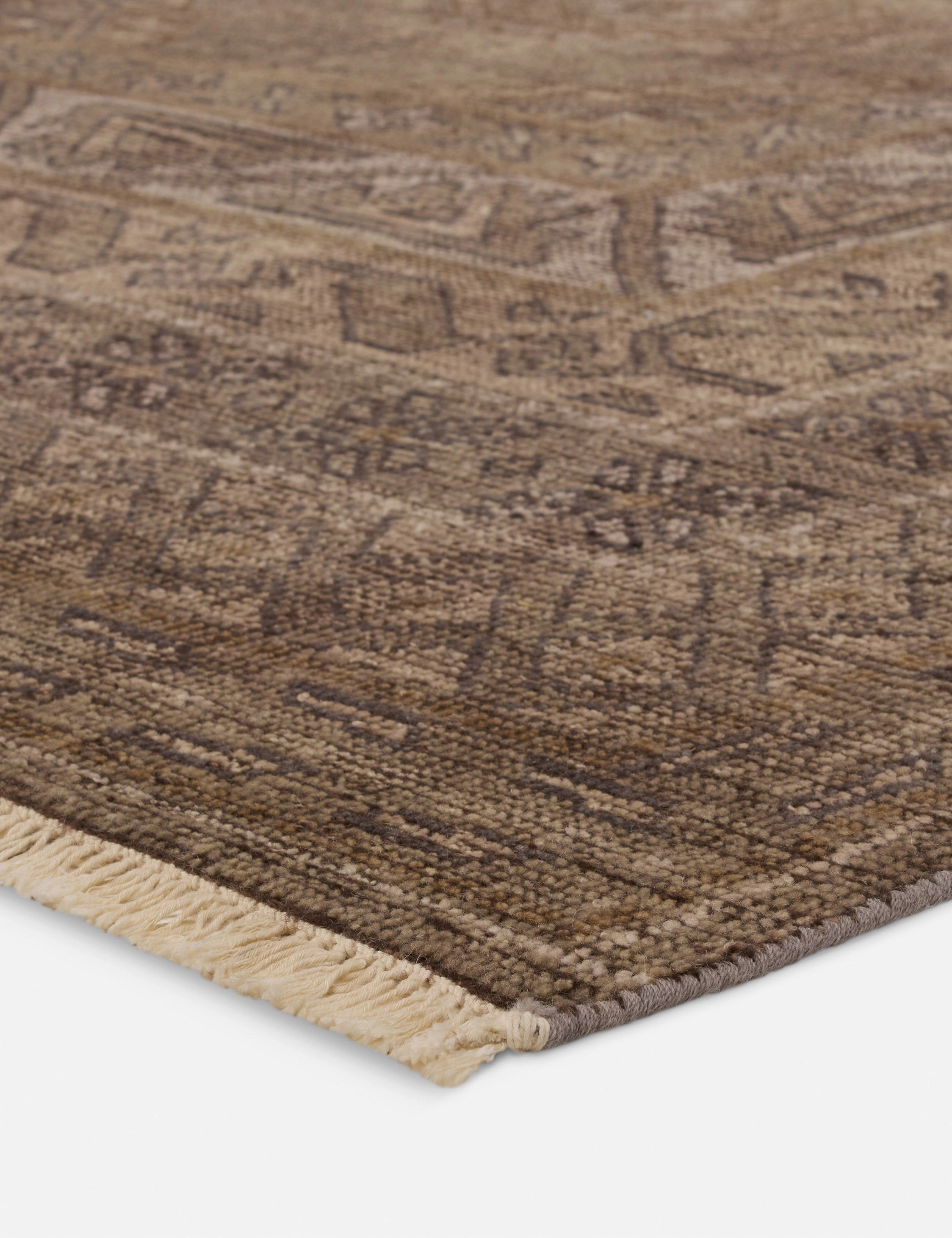 Ramira Hand-Knotted Wool Rug