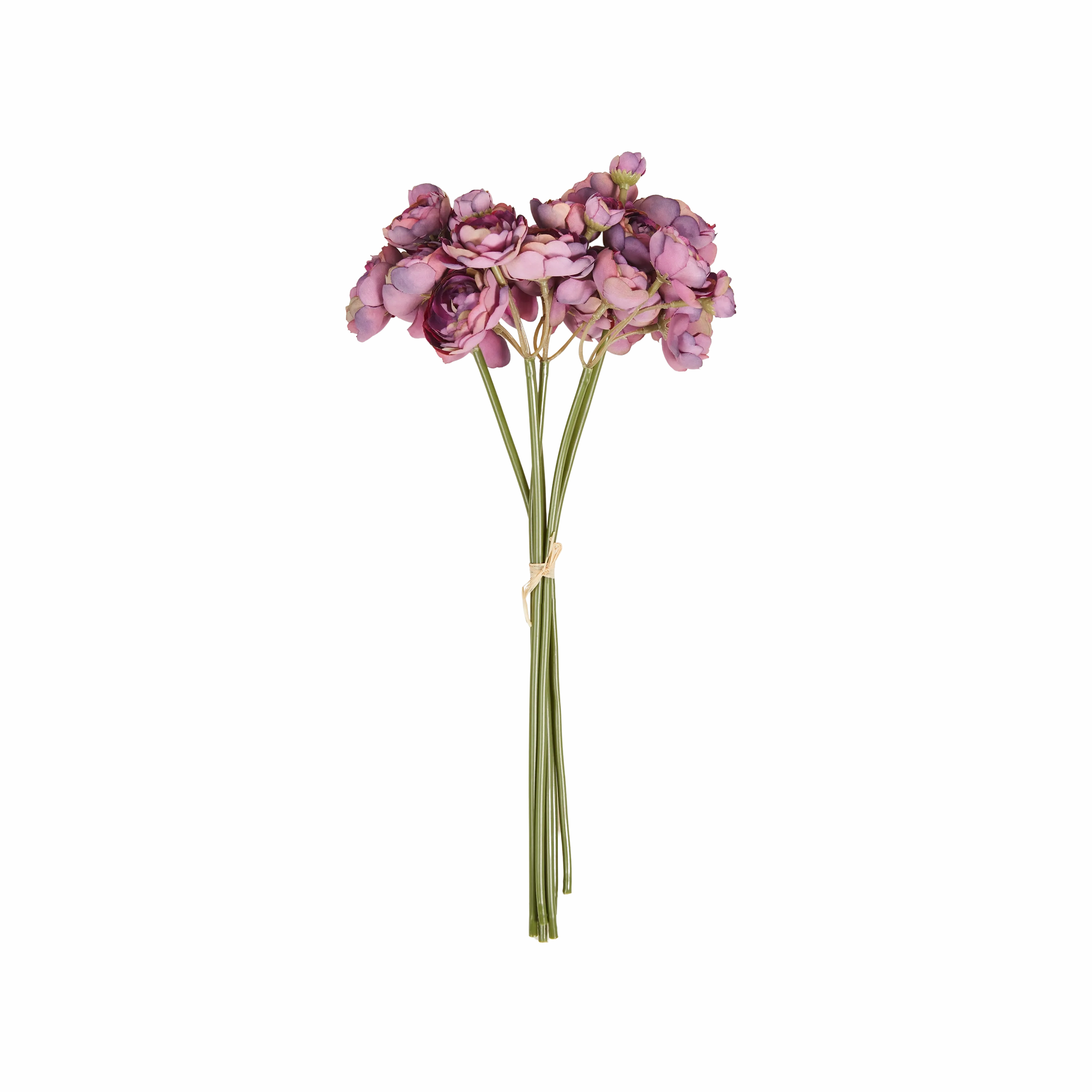Ranunculus Bunch elegant wall decor