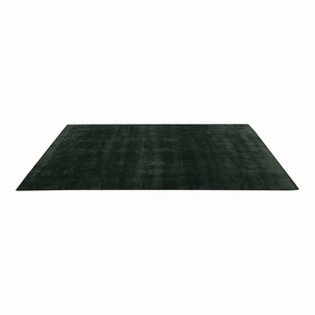 Raya Rug modern art object