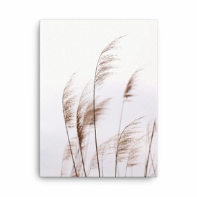 Reeds Reeds 01 - Canvas canvas mural art
