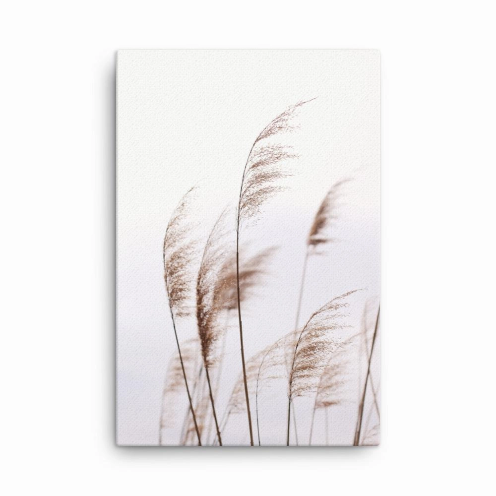 Reeds Reeds 01 - Canvas