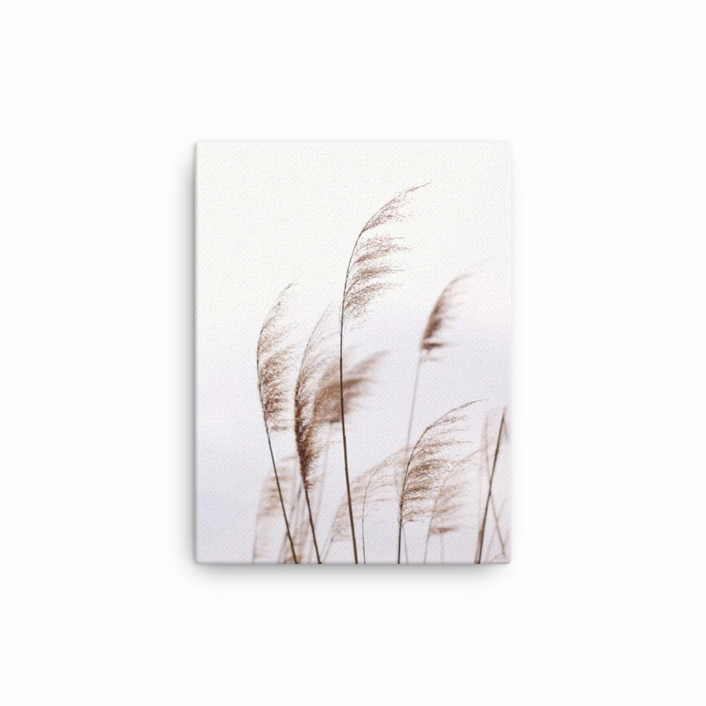 Reeds Reeds 01 - Canvas