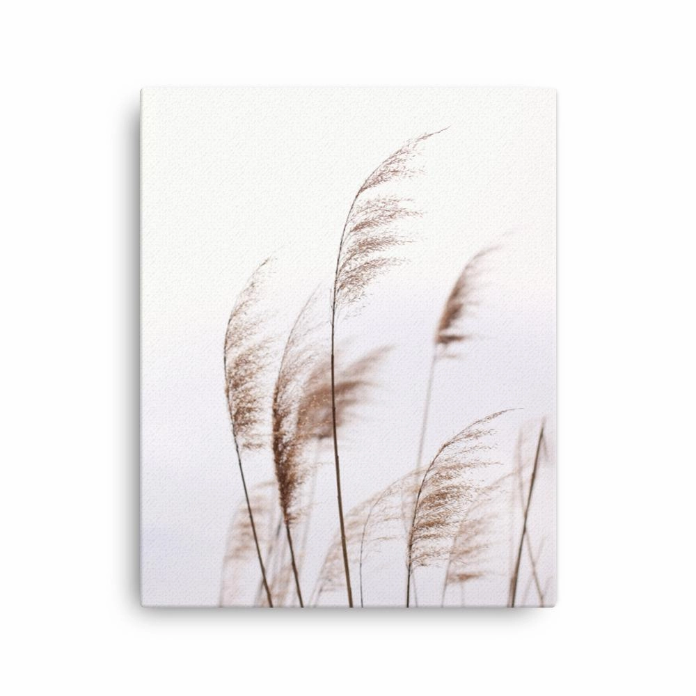 Reeds Reeds 01 - Canvas