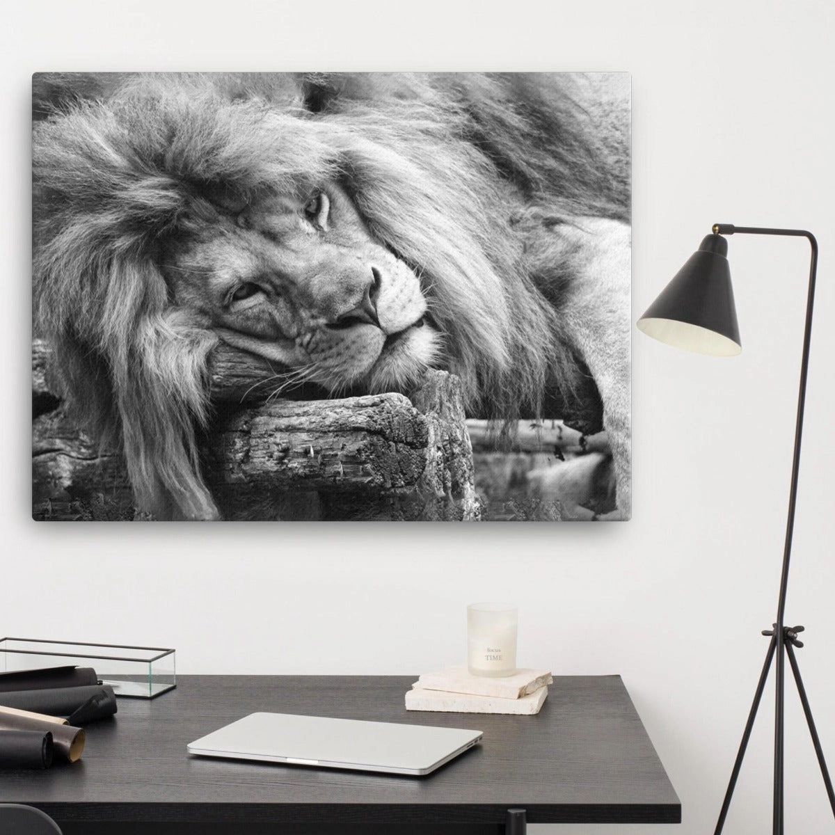 Relaxed lion - canvas