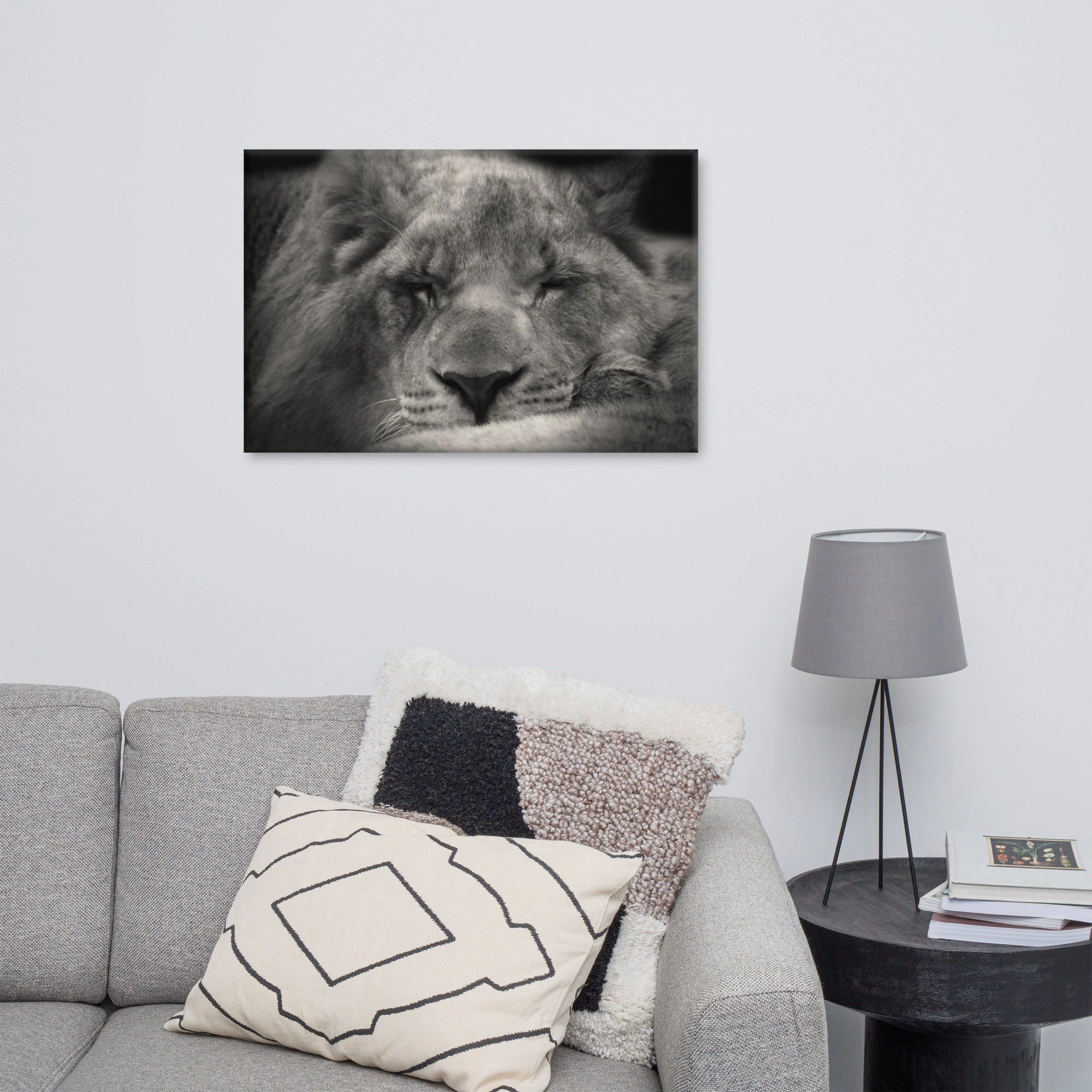 Relaxed lioness - canvas