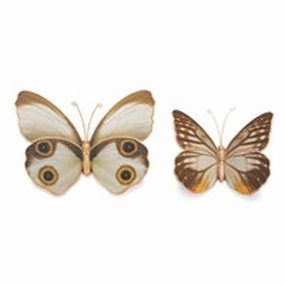 Resin Butterfly ( 2 sizes ) interior room decor