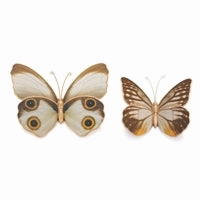 Resin Butterfly ( 2 sizes ) interior room decor