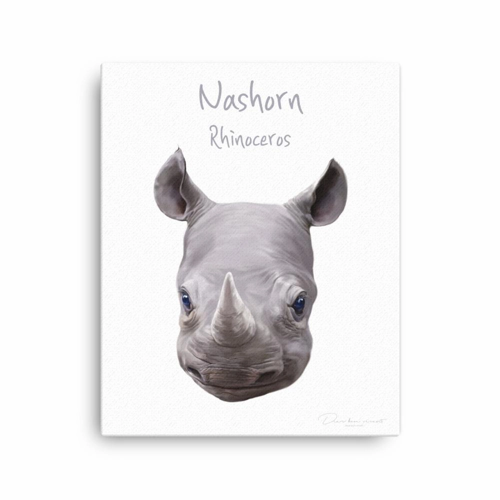 Rhino - canvas