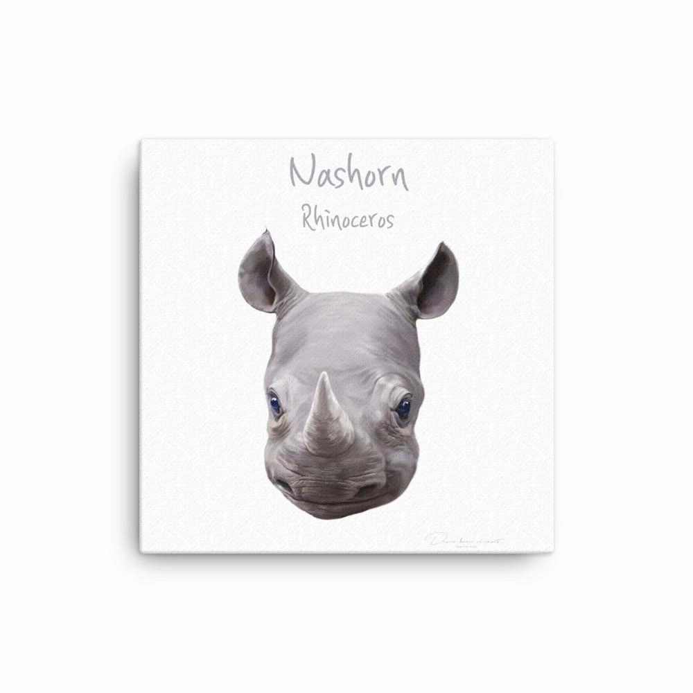 Rhino - canvas