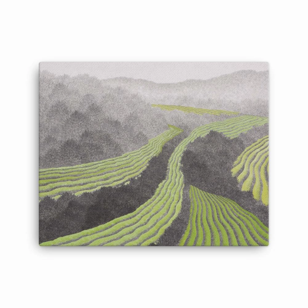 Rice field - canvas