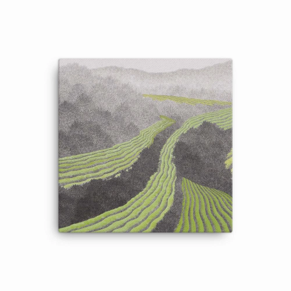 Rice field - canvas