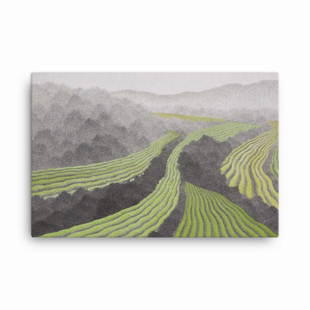 Rice field - canvas