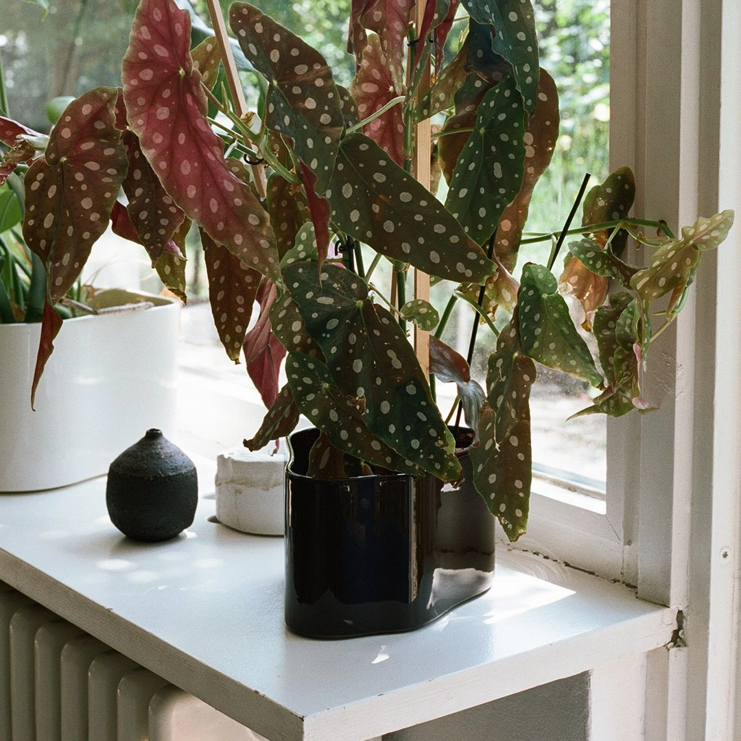 Riihitie Plant Pot - Shape A