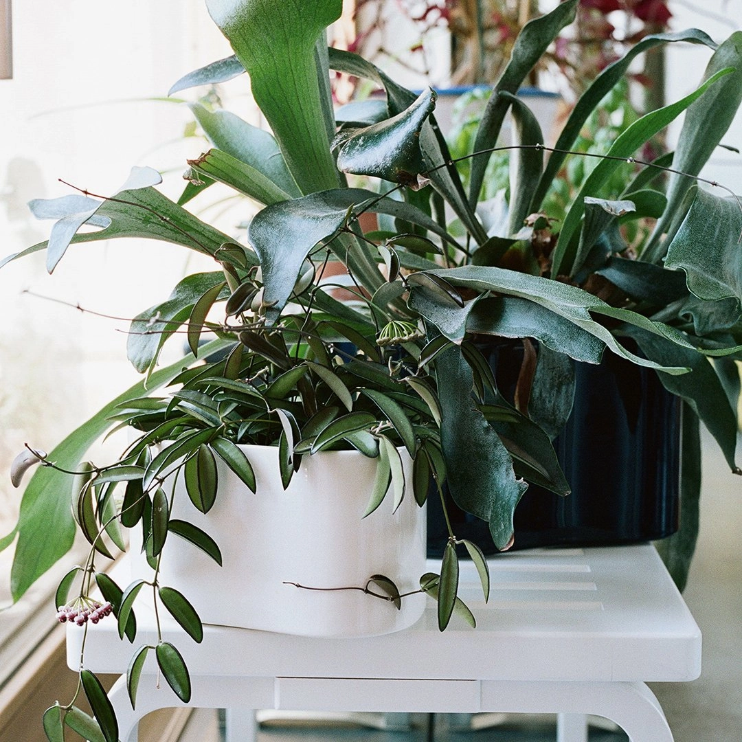Riihitie Plant Pot - Shape A