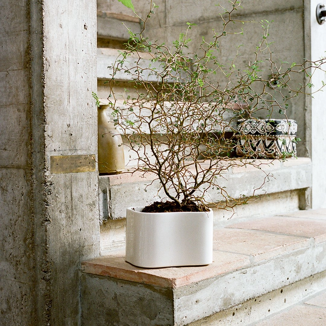 Riihitie Plant Pot - Shape A