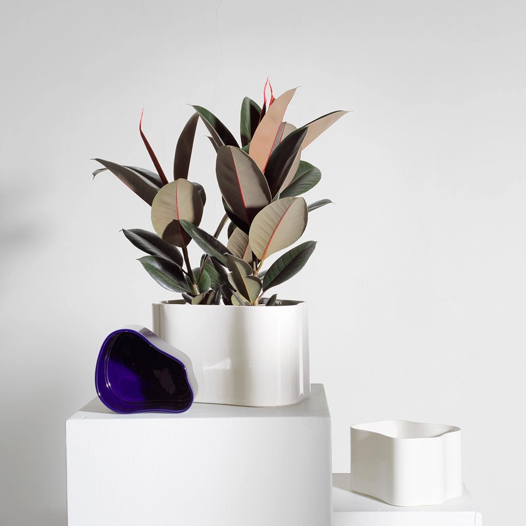 Riihitie Plant Pot - Shape A