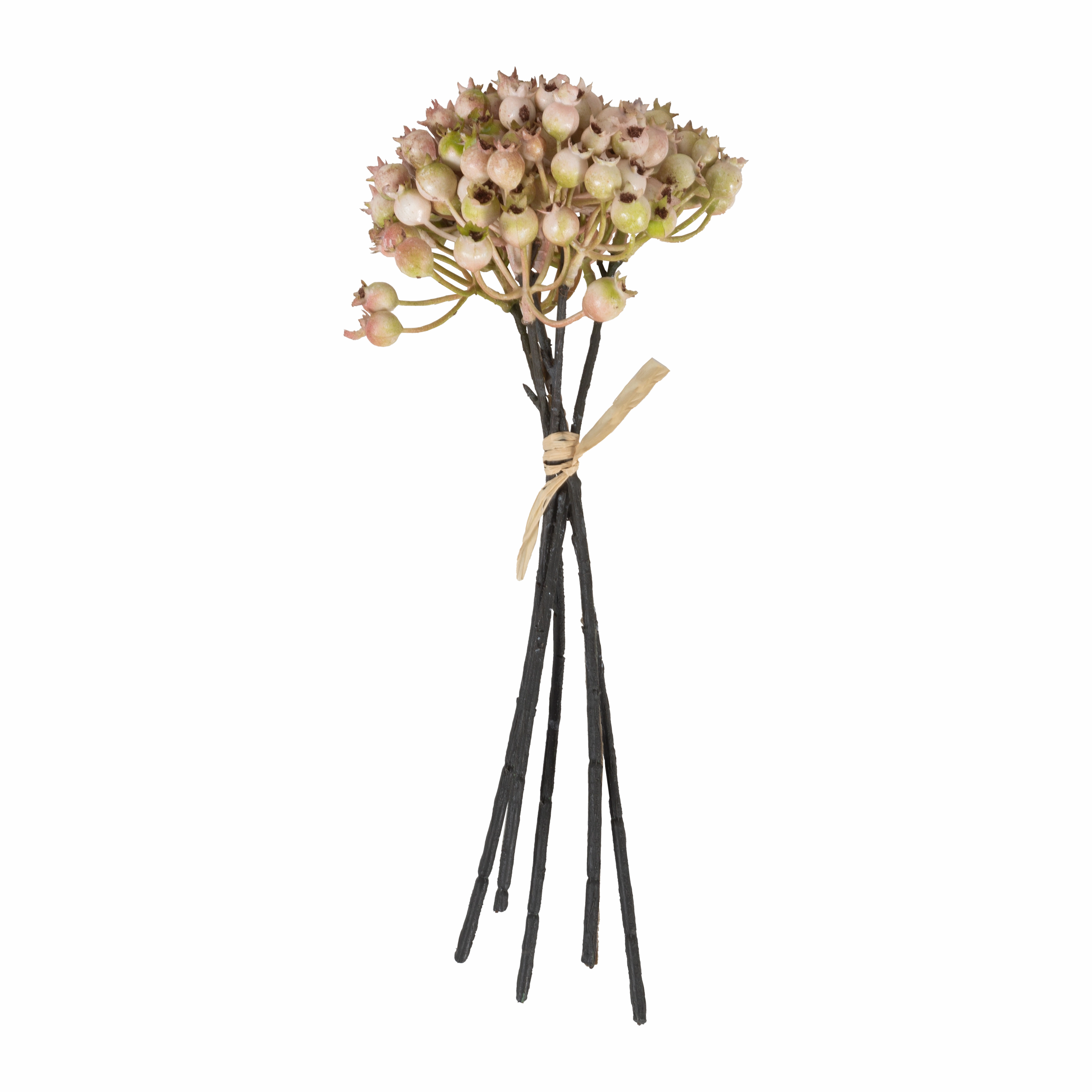 Rose Hip Bunch elegant wall decor