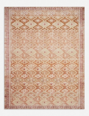 Salazar Rug trendy fashion rug