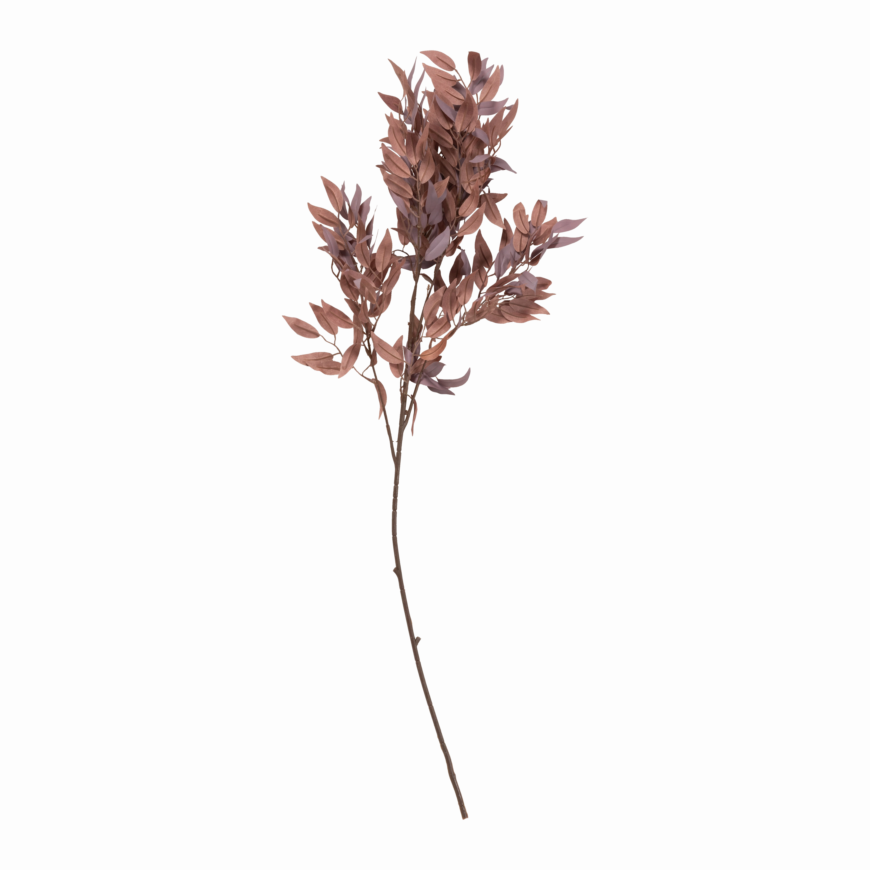 Salix Stem elegant wall decor