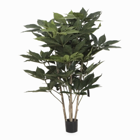 Schefflera Tree elegant wall decor