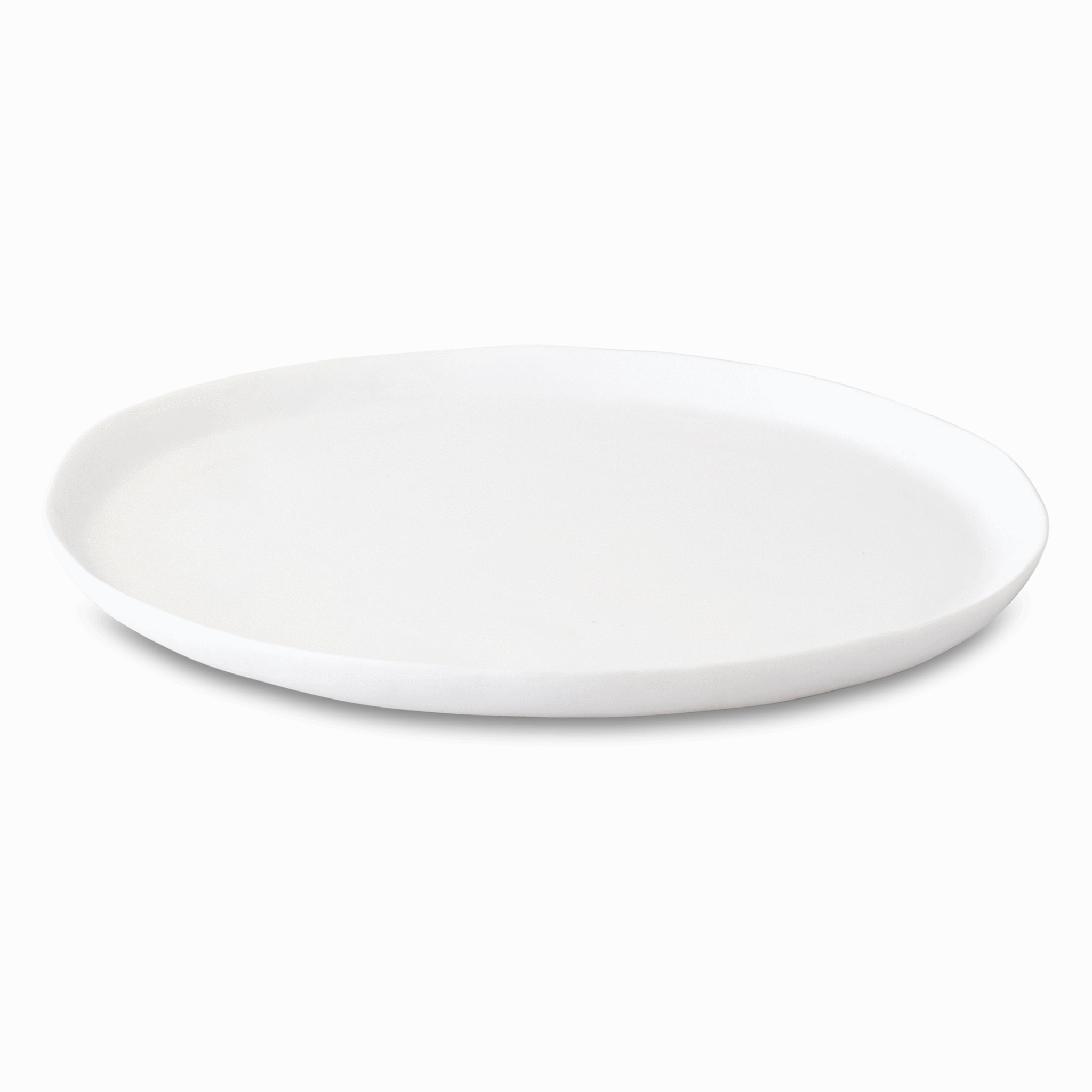 Sculpted Platter elegant wall decor