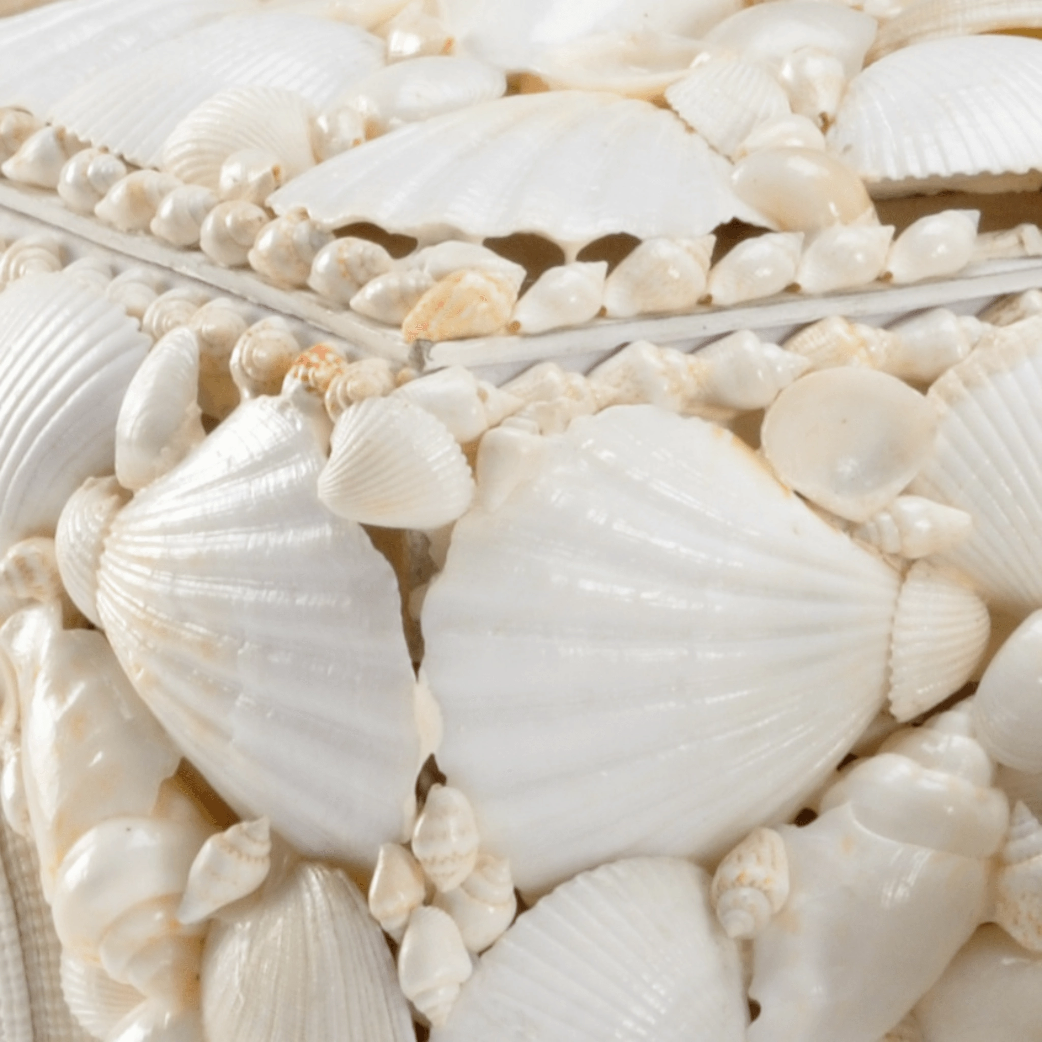 Set of 3 Natural White Decorative Shell Boxes