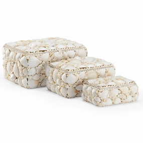 Set of 3 Natural White Decorative Shell Boxes home display ornament