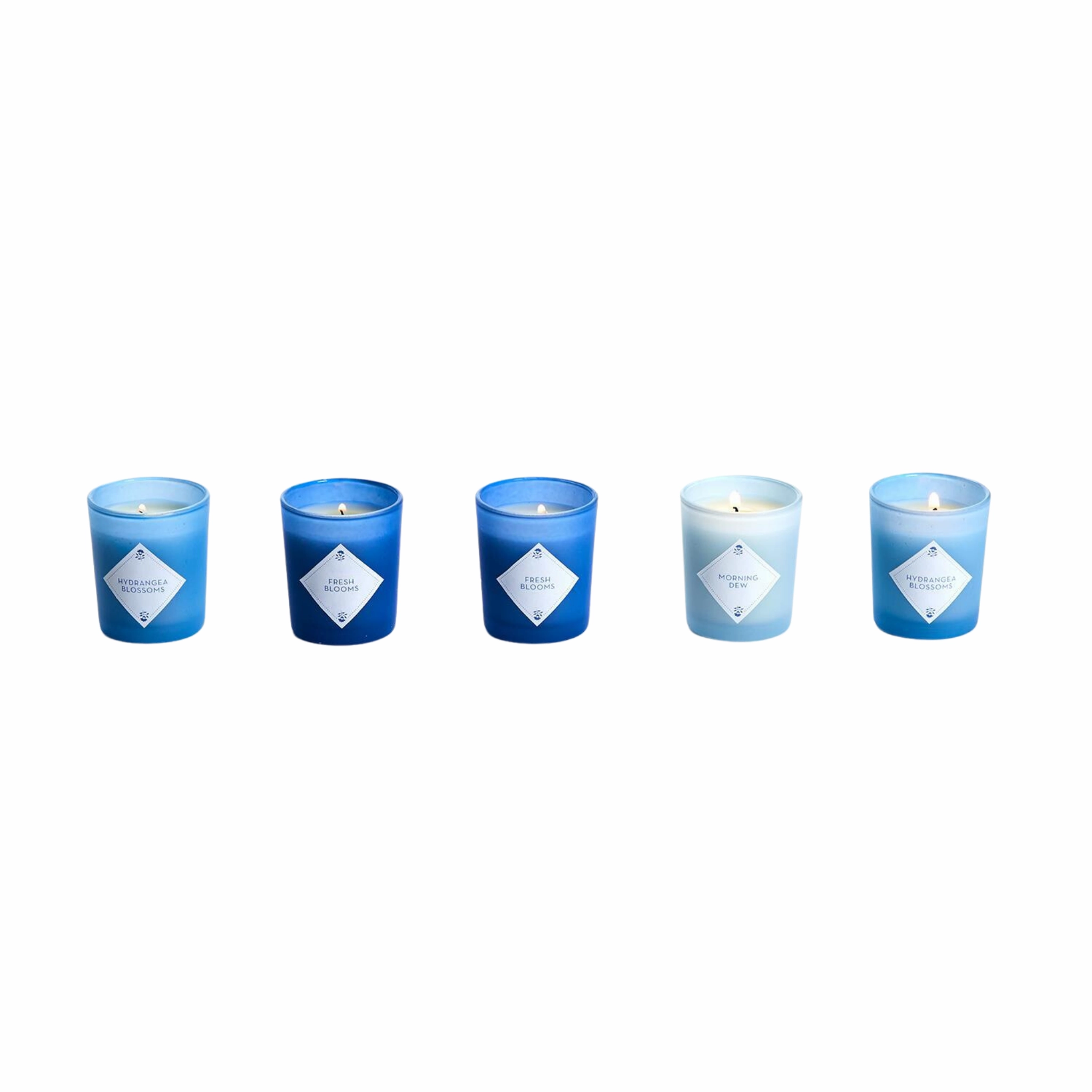 Set of 5 Hydrangea Scented Candles in Gift Box