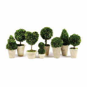 Set of 8 Boxwood Topiaries in Pots home display ornament